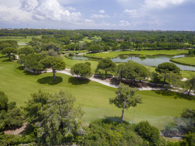 aerial golf course