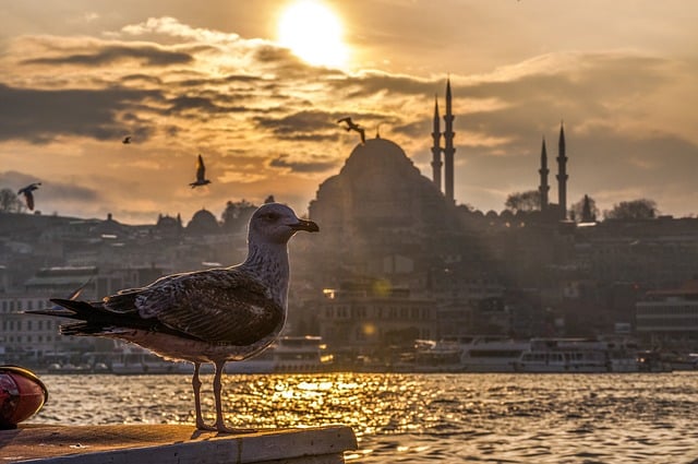 Tourism in Istanbul Rebounds to Record Numbers