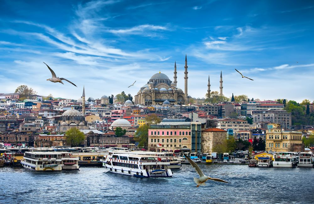 Turkey Real Estate Market: An Inferential Analysis and Investment Perspective