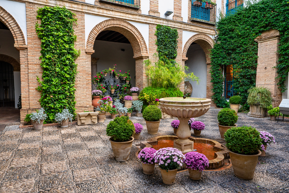 The Best Plants for Spanish Gardens and Terraces