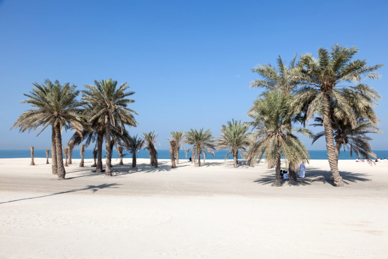 umm al quwain, uae dec 20: beautiful beach with palm trees in umm al quwain. december 20, 2014 in umm al quwain, uae