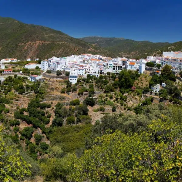 marbella townhouses esmart912 22